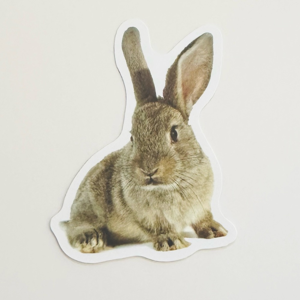 10/$10 Bunny Sticker